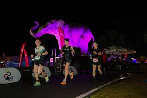 BIB: 
                            <button type="button" onclick="openModal(26543985)" class="btn btn-primary btn-sm float-right btn-popup" data-toggle="modal" data-target=".modal-high-quality">
                        <i class="fas fa-shopping-cart"></i> Add to Cart
                    </button>
                                            <button type="button" onclick="isThisMe(26543985, true)" class="btn btn-success btn-sm float-right btn-popup btn-isme hidden" data-toggle="tooltip" data-placement="bottom" title="นี่คือรูปของคุณใช่ไหม คลิกที่นี่เพื่อเอาเข้าอัลบั้ม">
                        <i class="fas fa-plus"></i> Add to album
                    </button>
                    <button type="button" onclick="isThisMe(26543985, false)" class="btn btn-warning btn-sm float-right btn-popup btn-isnotme hidden">
                        <i class="fas fa-ban"></i> Remove from album
                    </button>